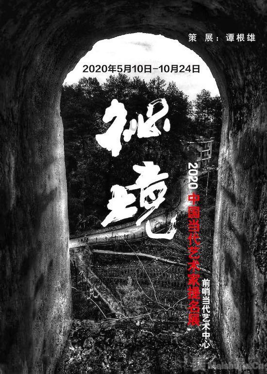 逃离野猫森林