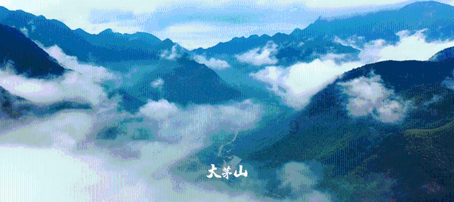 全省新阶联新年“新作为”,“地域+领域”助力百千万工程
